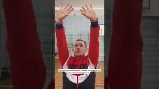 Волейбол// Передача сверху