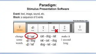 Revising a Sample Paradigm Experiment - HKBUPhonLab.Ep.23