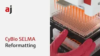 Reformatting with CyBio SELMA