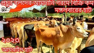 @মঙ্গলবার 9/5/2023/প্রচুর বলদের আমদানি বিক্রি খুবই কম/আমরাইদ হাটে বলদ গরুর দাম/cow market 2023