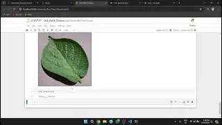 Plant Disease Detection Using Deep learning And Python