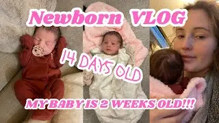 NEWBORN DAY IN THE LIFE! 2 weeks old today!🥹🥲☁️🤎✨🌙