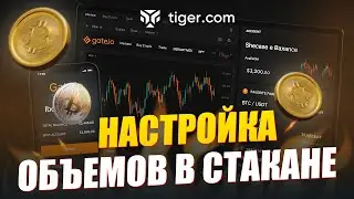 How to set up a DOM in Tiger Terminal? Proper volume settings for scalping 📊