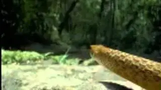 Nightwish-Lagoon.mpg