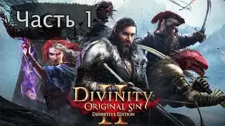 Прохождение Divinity original sin 2. Сложность тактика. Часть 1