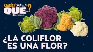 Beneficios de la coliflor la verdura baja en calorías e ideal para los veganos | ¿Sabías que...?