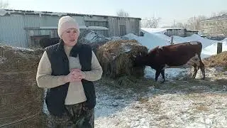 Мы чуть не потеряли Пчелу😢 ЧП на  хозяйстве. Жизнь в деревне.