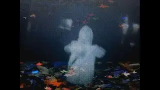 gewy - i love taking acid [prod. flora][edited. bg]