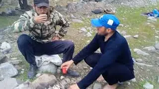 гулмои точикистон дар дари вистан