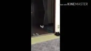 Чё чё это чё кто это кинул ??