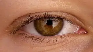 ASMR Sensitive Sounds - what our ears don't hear