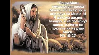 Соглядатаи