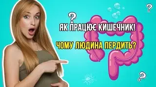 Чому людина пердить? Як працює кишечник? | Why Do Humans Fart? How Does the Intestine Work?