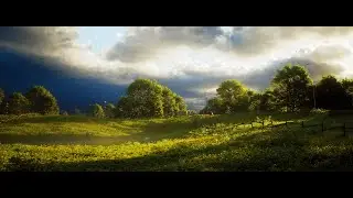 UE5 - Meadow