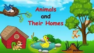 Animals and Their homes| Animals living place