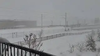 Denver aka Hoth (3-14-21)