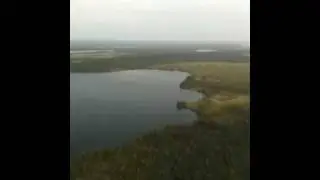 Helicopter