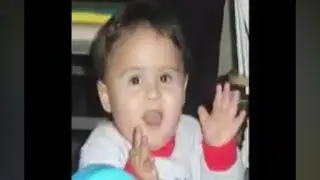 Collinator