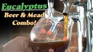 My Experimental Eucalyptus Honey & Dark Malt Beer/Mead Combo