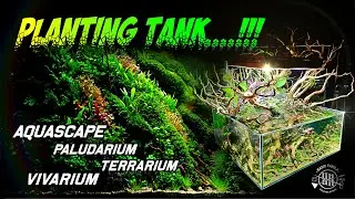 PLANTING TANK....AQUASCAPE / MARSHAL / VIVARIUM / TERRARIUM / RIPARIUM