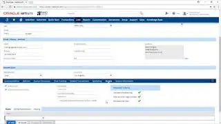 How to Grant Employee Access in NetSuite