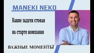 Какие задачи стояли на старте компании