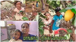 எங்க தோட்டத்துல மாங்கா பறிக்க போயிருக்கும் 🥭| அத்தை மாமாவும் தோட்டத்துல இருக்காங்க 😊|#rithuvlogs 