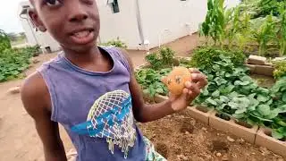 I jumped at this opportunity 🥔🥔