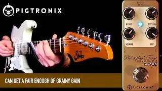 Pigtronix PHILOSOPHER’S TONE GERMANIUM GOLD MICRO