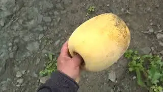 Находки с моря и моя походная чайная церемония, июль 2024 г.