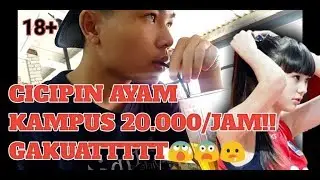 HOT! Cicipin ayam kampus 20.000/jam. Gakuattt!!!