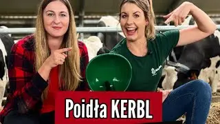 POIDŁO KERBL l SiostryWitczak