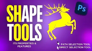 All Shape Tool & its Properties in Photoshop - Pro Tutorial | How to use Direct Selection tool