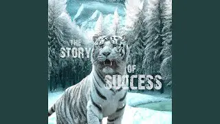 The Story of Success