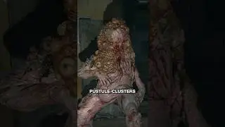 Jorge The Friendly Shambler