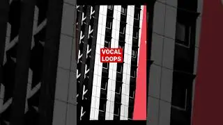 Sample Vocal Loops