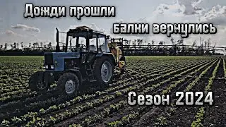 Опрыскивание сои, трактор МТЗ 82.1 + опрыскиватель ОПМ-3000В