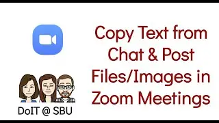Zoom: Copying Text from Chat & Posting Files/Images in Your Meeting