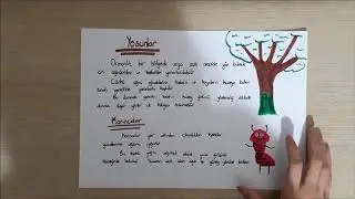 4. Sınıf Sosyal Bilgiler YÖNLER