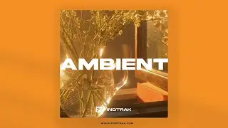Ambient (Reggaeton, Tyla x Jorja Smith Type Beat)