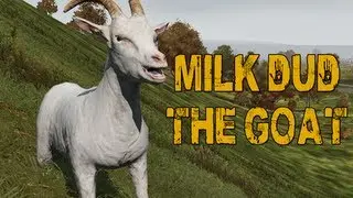 Milk Dud the Goat