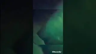 Жуткий крик. Ночь в лесу. Страшно. 