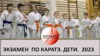 Экзамен .Белые, желтые пояса.