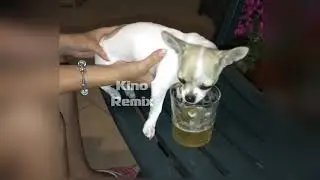 Алкоголичка