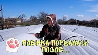 Какой пленкой лучше укрывать клубнику