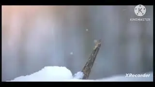 мы родились в сибири//ревнует к сварщику//обзор канала