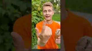 How to Share Ice Cream 😄