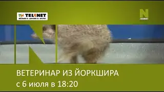Смотрите в сети TELENET: с 6 июля по будням в 