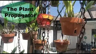 Making your own orchid pot hanger