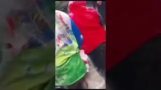 Kemeriahan menyambut hari kemerdekaan RI yang ke-78#subscribe#shortvideo